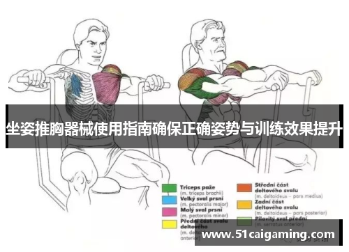 坐姿推胸器械使用指南确保正确姿势与训练效果提升